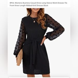 Black Long Sleeve Dress with Sheer Polka Dot Sleeves